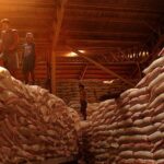 Trends-in-global-rice-trade_large